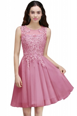 Chic Jewel Neck Tulle Short Homecoming Dress Sleeveless Lace Appliques Mini Party Dress_1