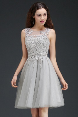 Chic Jewel Neck Tulle Short Homecoming Dress Sleeveless Lace Appliques Mini Party Dress