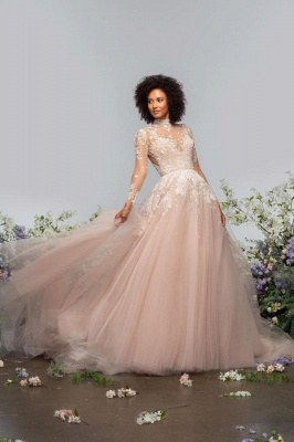 Gorgeous Long Sleeves High Neck Tulle A-line Wedding Dress Floral Lace Backless Bridal Dress_2