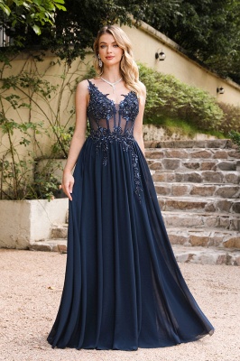 Stunning Spaghetti Straps Tulle Lace Simple Evening Dress Sleeveless A-line Appliques Formal Dress Floor Length_8