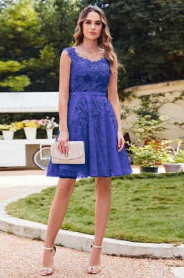 Elegant Round Neck Sleeveless Short Homecoming Dress Tulle Lace Appliques Mini Party Dress_9