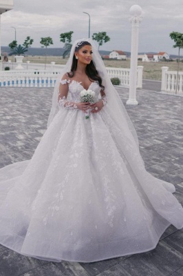 Gorgeous White V-Neck Tulle Lace A-line Wedding Dress with Sleeves