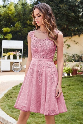 Elegant Round Neck Sleeveless Short Homecoming Dress Tulle Lace Appliques Mini Party Dress_1