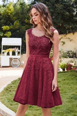 Elegant Round Neck Sleeveless Short Homecoming Dress Tulle Lace Appliques Mini Party Dress_2