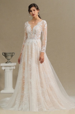 Elegant Lace Deep V-neck Wedding Dress Long Sleeve Floor Length Bridal Gowns_2